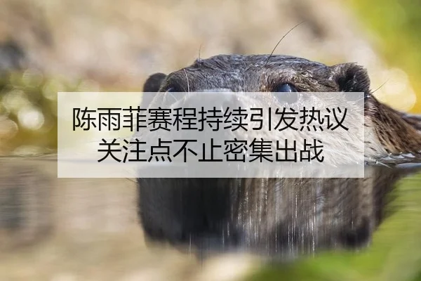 chen-yu-fei-sai-cheng-chi-xu-yin-fa-re-yi-guan-zhu-dian-bu-zhi-mi-ji-chu-zhan-2-690.jpg